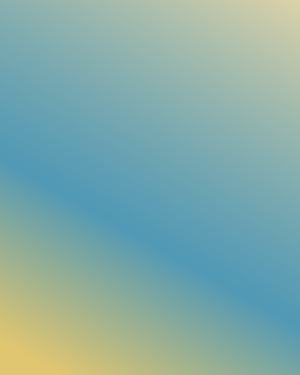 VISIBLE©️Organic Cotton Navy Bucket Hat